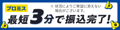 �v���~�X