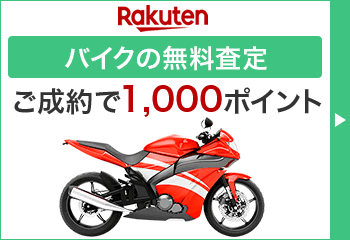 楽天査定タグ 161