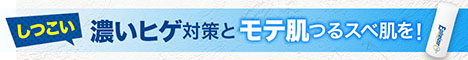 エピナイザーゼロ公式サイト