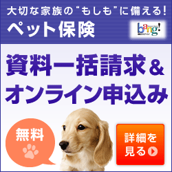 Ps保険の本音の口コミ メリット デメリットもしっかり知ろう トイプード トイプードルにおすすめのドッグフードランキング