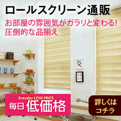 スキップ カーテン