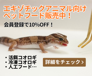 餌用コオロギ専門通販 Futurenaut