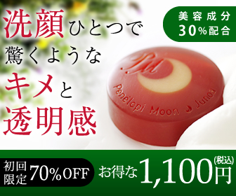 ペネロピムーンジュノアの購入はこちら